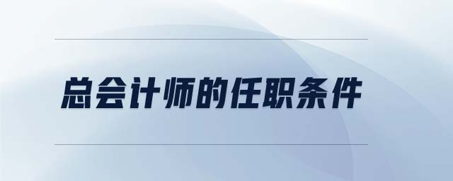 總會(huì)計(jì)師的任職條件