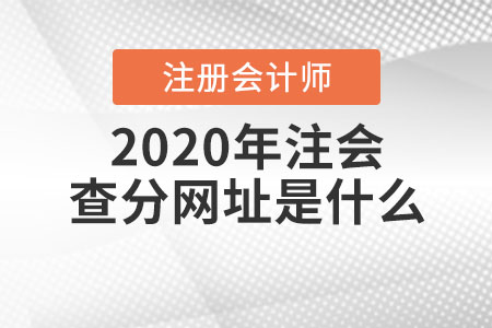 2020年注會查分網(wǎng)址是什么？