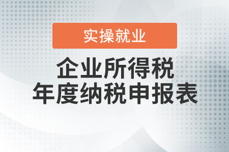 《關(guān)于修訂企業(yè)所得稅年度納稅申報表的公告》的解讀