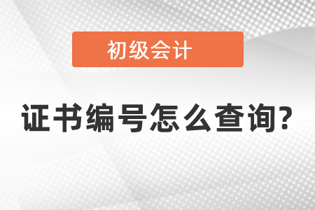 2020年初級會計證書的編號怎么查詢?