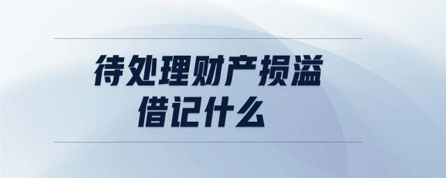 待處理財產(chǎn)損溢借記什么