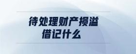 待處理財產(chǎn)損溢借記什么