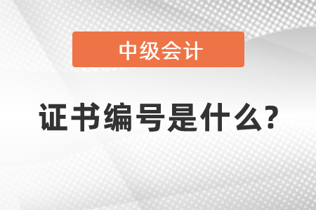 中級(jí)會(huì)計(jì)的證書(shū)編號(hào)是什么?