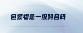包裝物是一級科目嗎