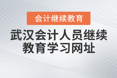 武漢會(huì)計(jì)人員繼續(xù)教育學(xué)習(xí)網(wǎng)址