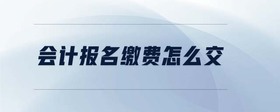 會計報名繳費怎么交