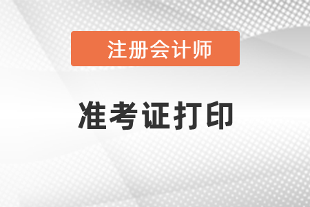 2021江西省九江注冊(cè)會(huì)計(jì)師考試準(zhǔn)考證哪里可以打??？