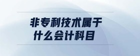 非專利技術(shù)屬于什么會計(jì)科目