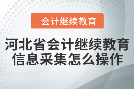河北省會(huì)計(jì)繼續(xù)教育信息采集怎么操作？