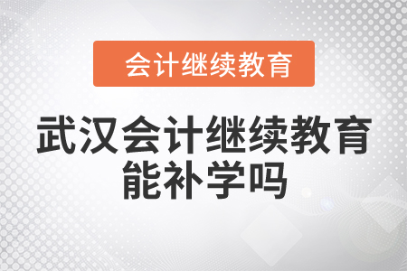 武漢會(huì)計(jì)繼續(xù)教育能補(bǔ)學(xué)嗎？