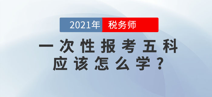 備考稅務(wù)師考試，想要一次性報(bào)考五科應(yīng)該怎么學(xué)？