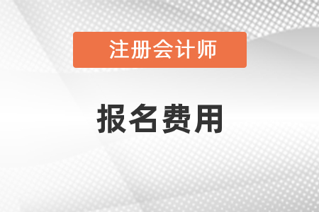 注冊會計(jì)師報(bào)名費(fèi)用是多少