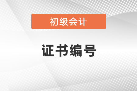 初級會計職稱證書編號哪里可以查到