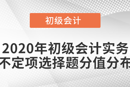 2020年初級會計實(shí)務(wù)不定項(xiàng)選擇題分值分布