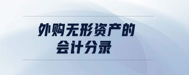 外購無形資產的會計分錄