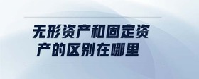 無形資產和固定資產的區(qū)別在哪里