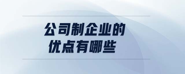 公司制企業(yè)的優(yōu)點(diǎn)有哪些