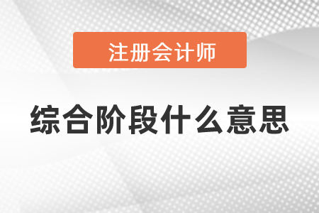 注會(huì)綜合階段什么意思？