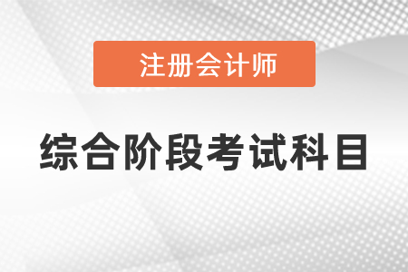 注冊會(huì)計(jì)師綜合階段考試科目