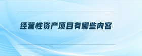 經(jīng)營性資產(chǎn)項目有哪些內(nèi)容