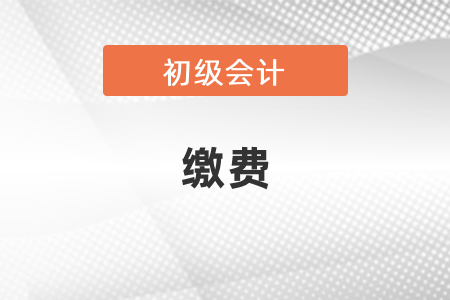 初級(jí)會(huì)計(jì)考試如何繳費(fèi)
