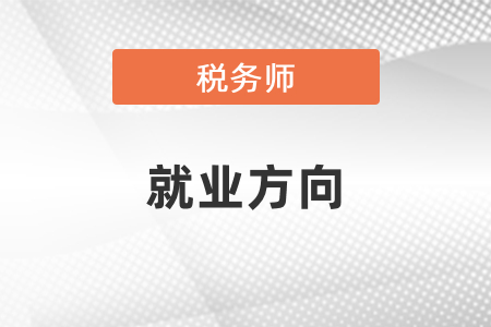 2021年稅務(wù)師工作方向都有什么？