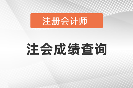 2020年注會考試查分時間