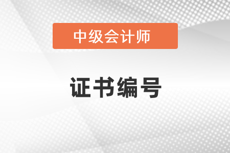 怎么查中級會(huì)計(jì)證書的證書編號？