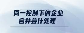 同一控制下的企業(yè)合并會計(jì)處理