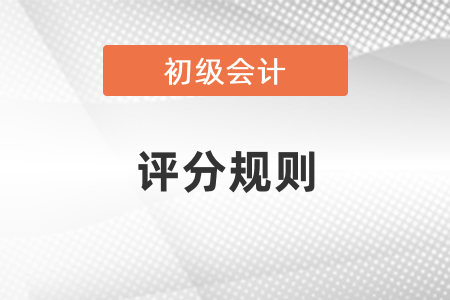 初級(jí)會(huì)計(jì)考試不定項(xiàng)題評(píng)分規(guī)則