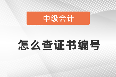 怎么查中級(jí)會(huì)計(jì)證書編號(hào)