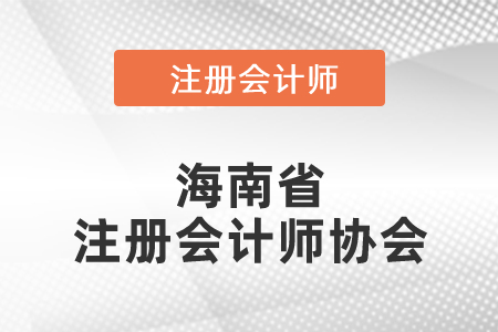 海南省定安縣注冊會計師協(xié)會