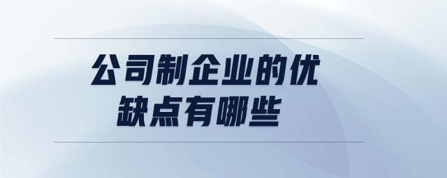 公司制企業(yè)的優(yōu)缺點(diǎn)有哪些