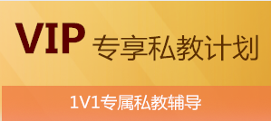 VIP專享私教計(jì)劃