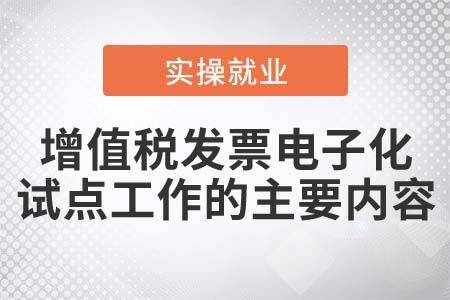 增值稅發(fā)票電子化試點工作的主要內容是什么？