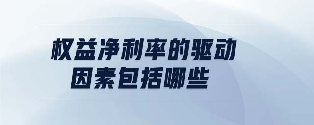 權(quán)益凈利率的驅(qū)動因素包括哪些