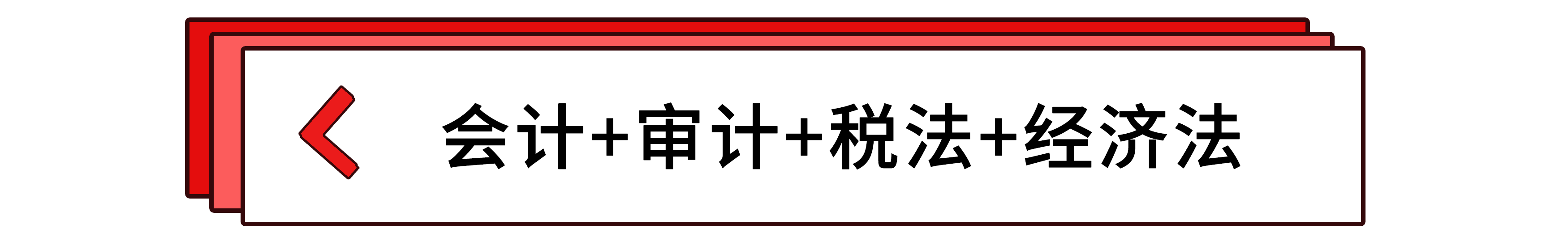 會計+審計+稅法+經濟法