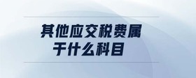 其他應(yīng)交稅費屬于什么科目