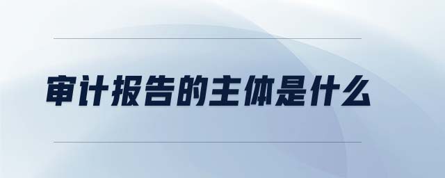 審計(jì)報(bào)告的主體是什么