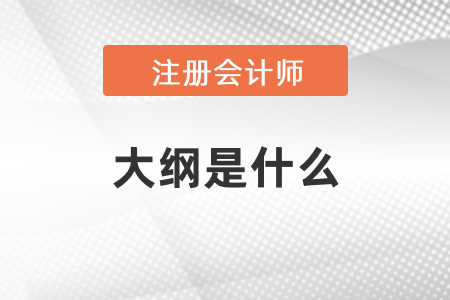 2021年注冊會計師大綱是什么