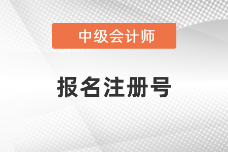 中級(jí)會(huì)計(jì)報(bào)名注冊(cè)號(hào)不存在怎么辦？