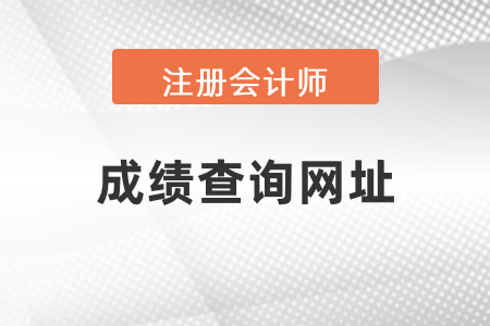 中國(guó)注冊(cè)會(huì)計(jì)師成績(jī)查詢網(wǎng)址