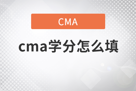 cma學(xué)分怎么填