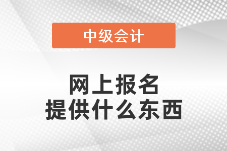 中級(jí)會(huì)計(jì)師網(wǎng)上報(bào)名提供什么東西