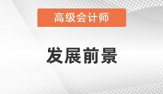 人才缺口大，發(fā)展前景好，政策利好高級會計師發(fā)展！