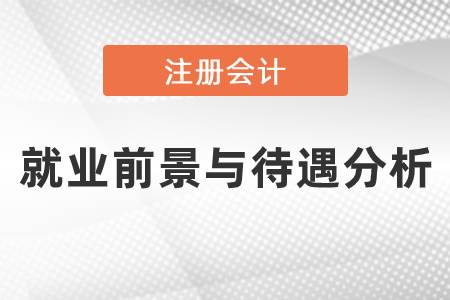 注冊(cè)會(huì)計(jì)師就業(yè)前景與待遇分析