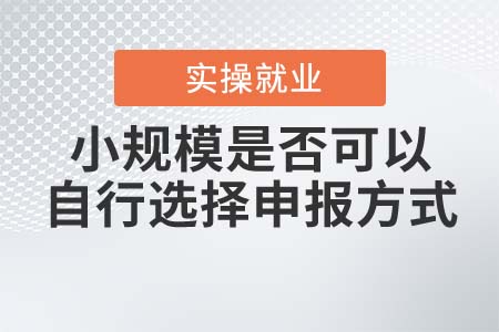 案例帶你分析小規(guī)模是否可以自行選擇申報方式
