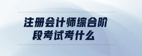注冊會計師綜合階段考試考什么