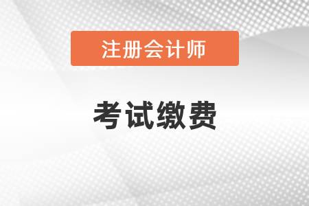注冊會(huì)計(jì)師考試?yán)U費(fèi)多少錢