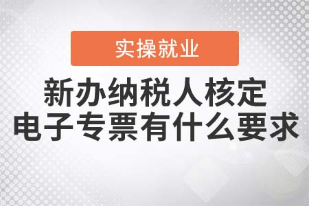 新辦納稅人核定電子專票有什么要求？